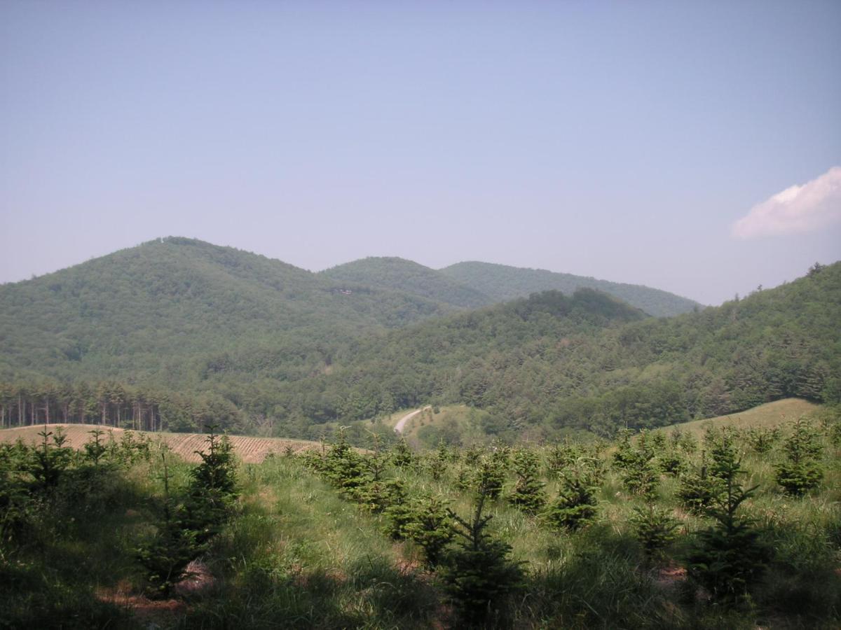 Arrowmont Stables & Cabins Cullowhee Extérieur photo