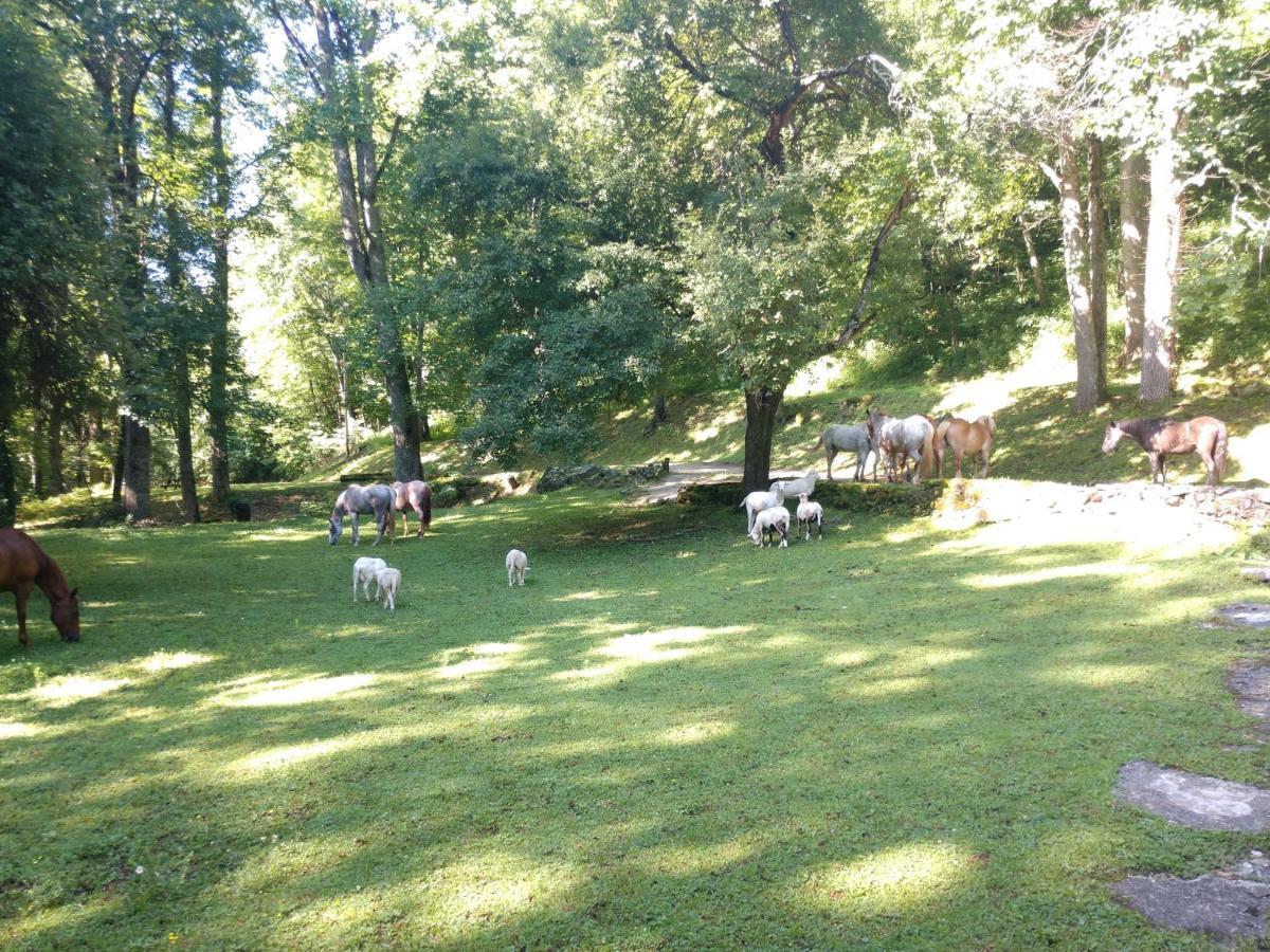 Arrowmont Stables & Cabins Cullowhee Extérieur photo