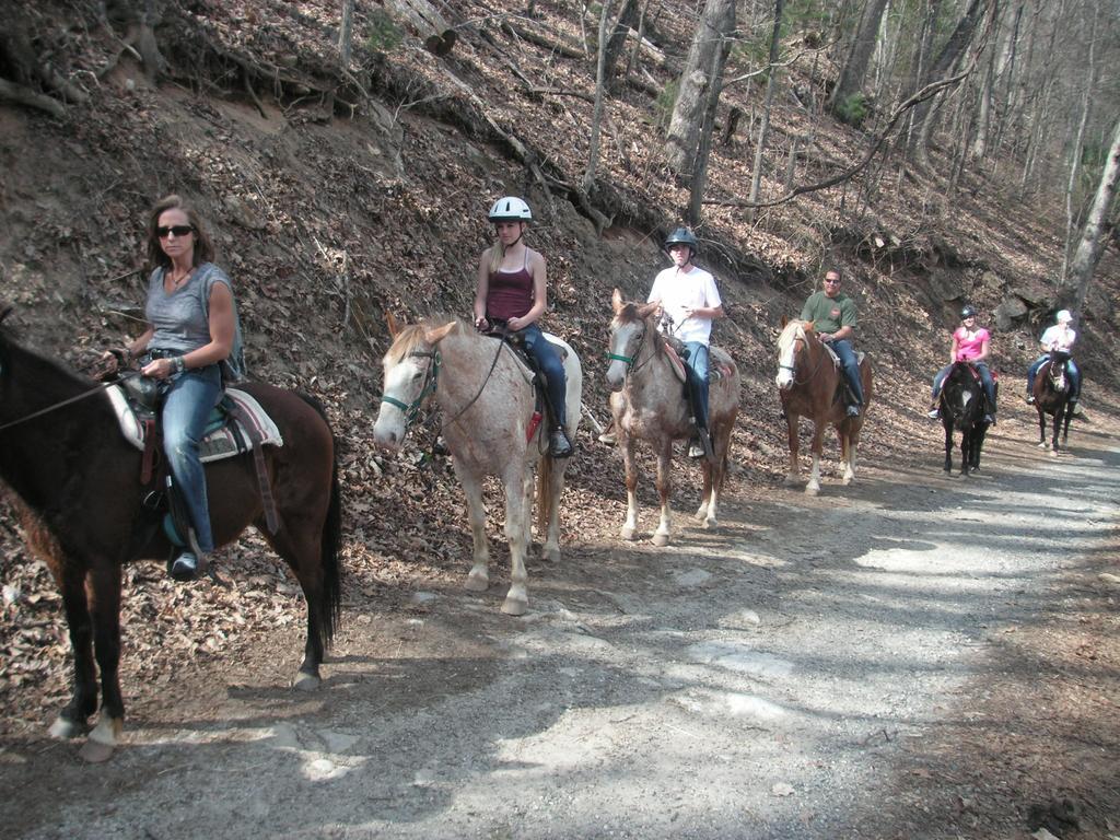 Arrowmont Stables & Cabins Cullowhee Extérieur photo