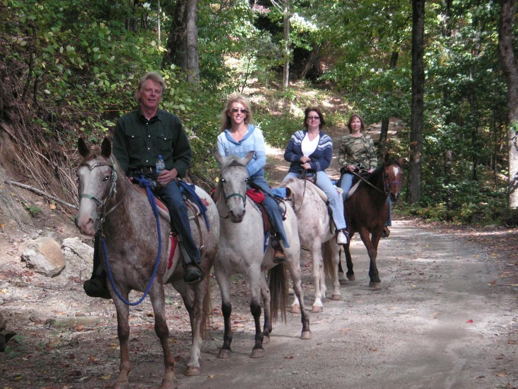 Arrowmont Stables & Cabins Cullowhee Extérieur photo