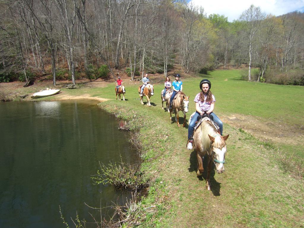 Arrowmont Stables & Cabins Cullowhee Extérieur photo