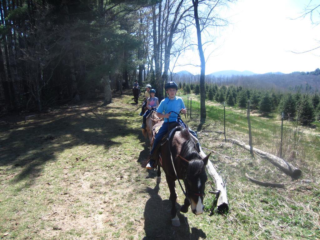 Arrowmont Stables & Cabins Cullowhee Extérieur photo