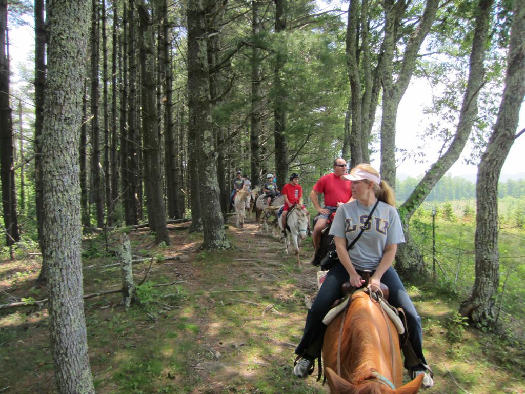 Arrowmont Stables & Cabins Cullowhee Extérieur photo