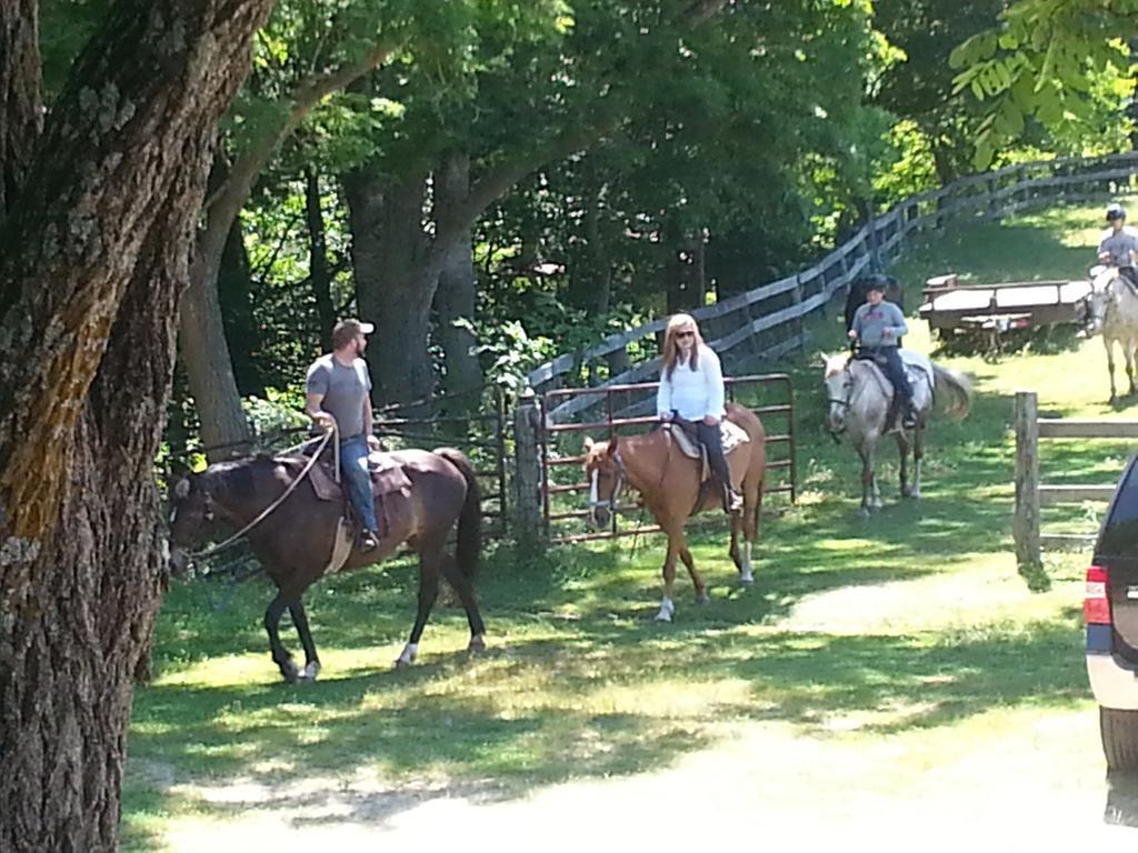 Arrowmont Stables & Cabins Cullowhee Extérieur photo